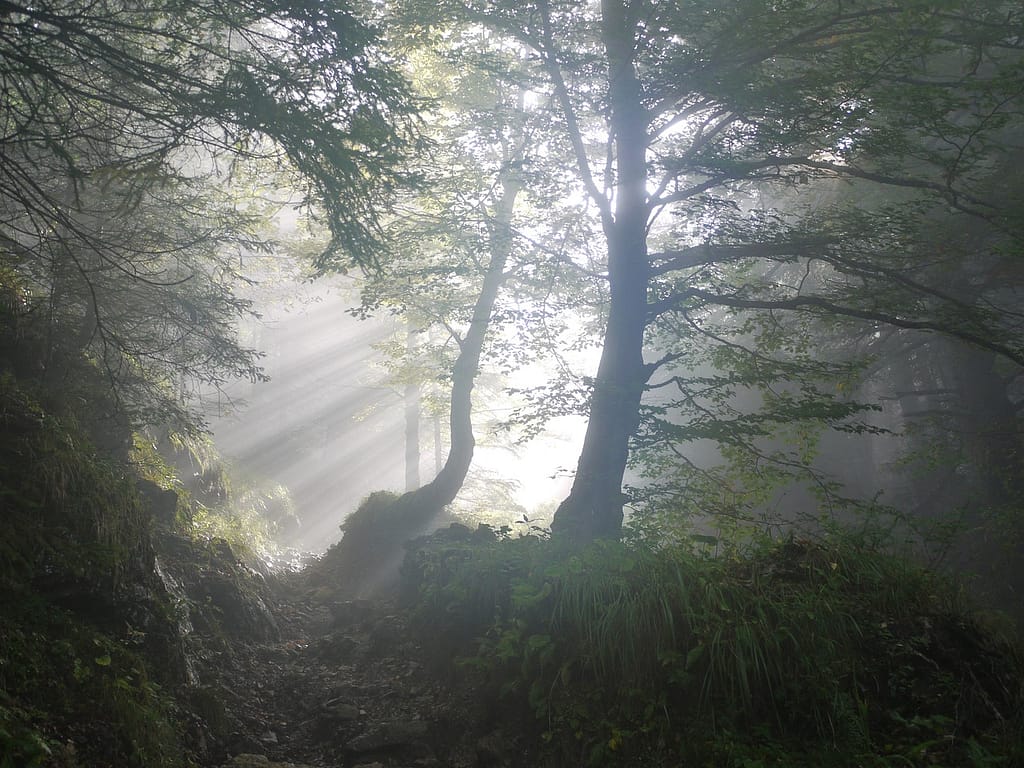 spazi di luce